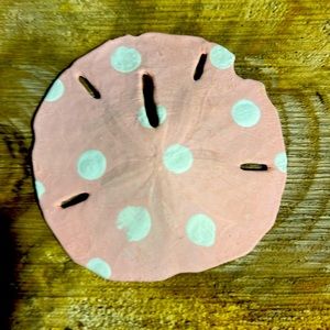 Painted sand dollars